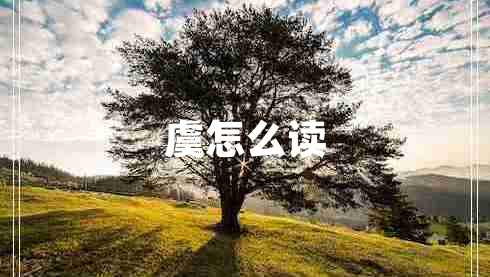 虞怎么讀