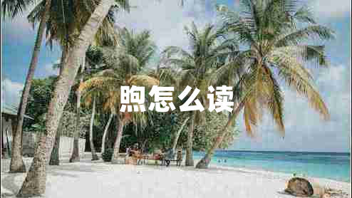 煦怎么讀