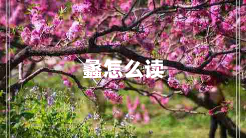 蠡怎么讀