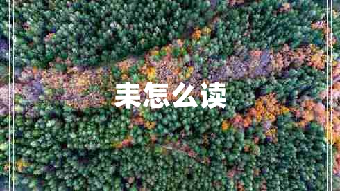 耒怎么讀