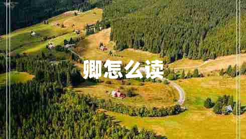 卿怎么讀