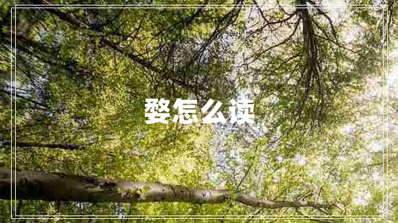 婺怎么讀