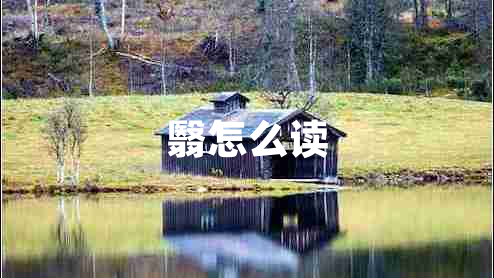 翳怎么讀