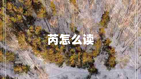 芮怎么讀