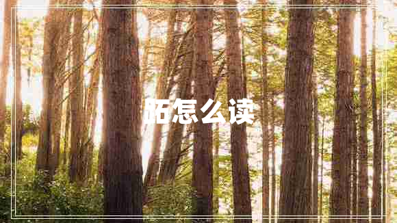 跖怎么讀