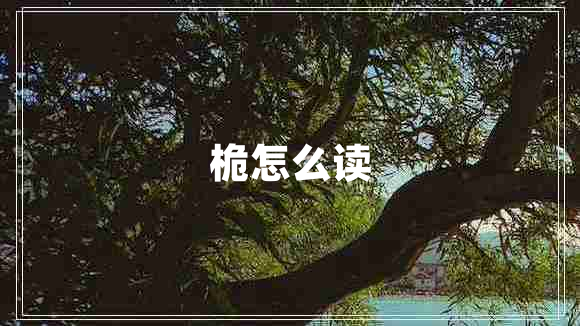 桅怎么讀