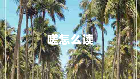 嗟怎么讀