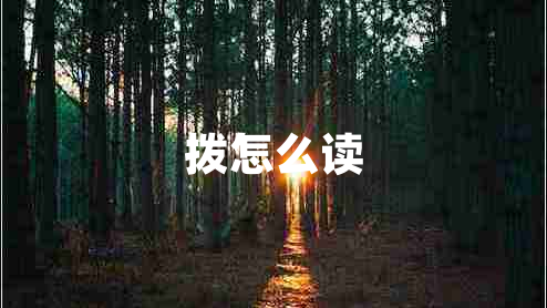 撥怎么讀