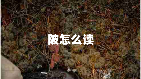 陂怎么讀