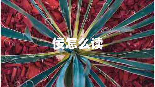 佞怎么讀