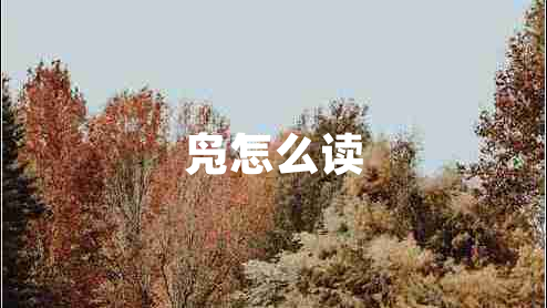 鳧怎么讀