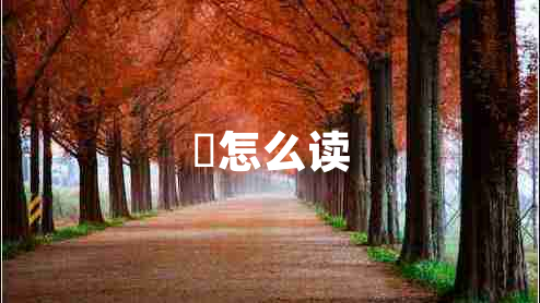 鸮怎么讀