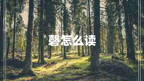 磬怎么讀