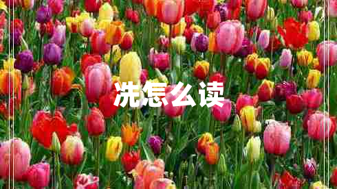 冼怎么讀