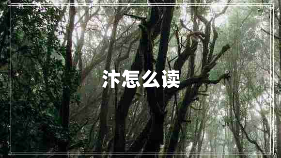 汴怎么讀
