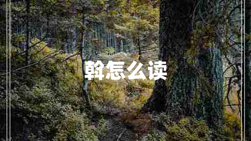 斡怎么讀