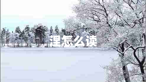 涅怎么讀