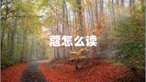 蔻怎么讀