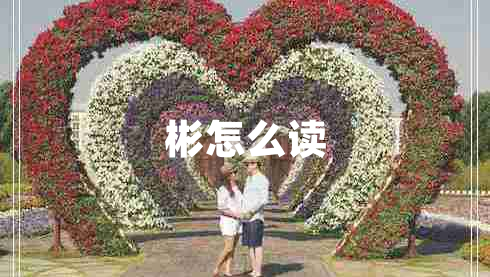 彬怎么讀