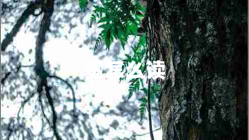 冕怎么讀