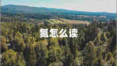 氮怎么讀