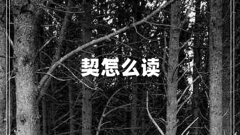 契怎么讀