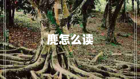 麂怎么讀
