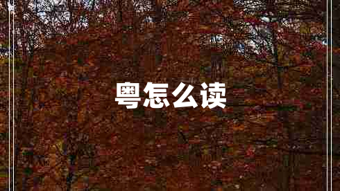 粵怎么讀