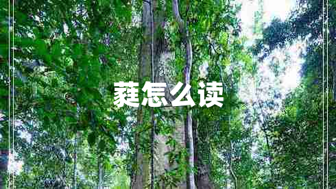蕤怎么讀