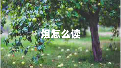 俎怎么讀