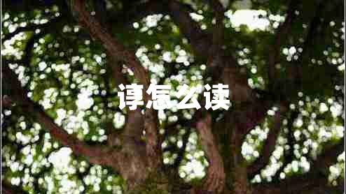 諄怎么讀