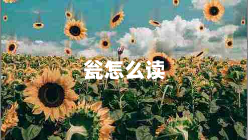 甕怎么讀