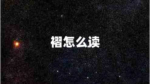 褶怎么讀