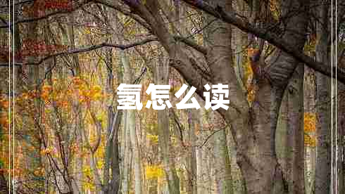 氫怎么讀