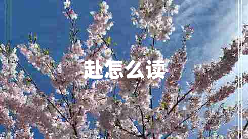 赴怎么讀