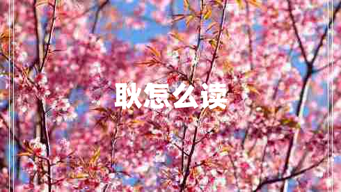 耿怎么讀