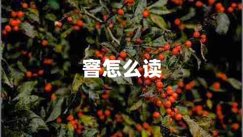 窨怎么讀