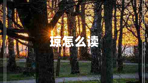 瓊怎么讀
