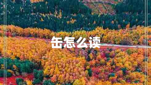 缶怎么讀