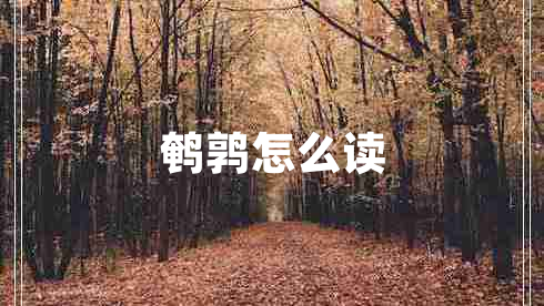 鵪鶉怎么讀