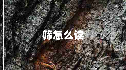 篩怎么讀