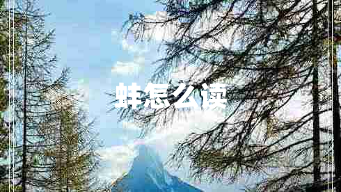 蚌怎么讀