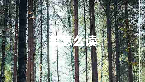 挈怎么讀