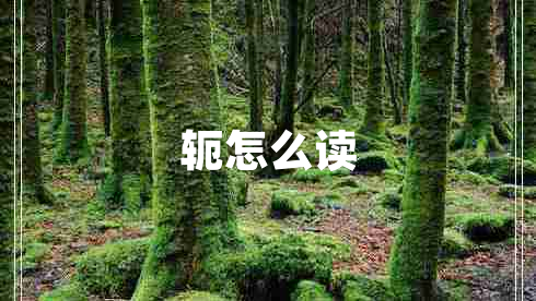 軛怎么讀