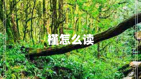 槿怎么讀