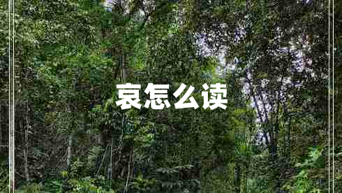 哀怎么讀