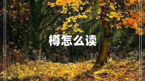 樽怎么讀