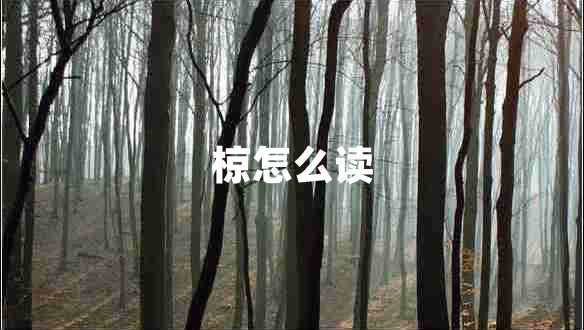 椋怎么讀