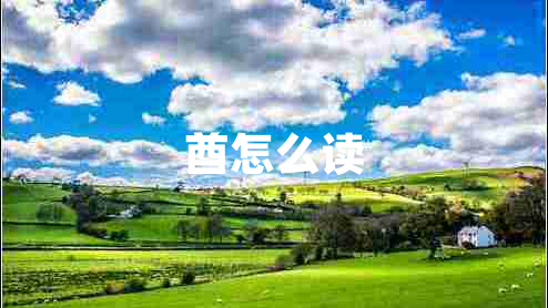 酋怎么讀