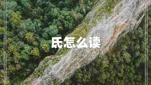 氐怎么讀